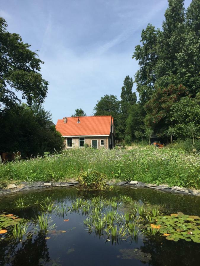 Het Kunstenaarshuis Kamperland Eksteriør bilde